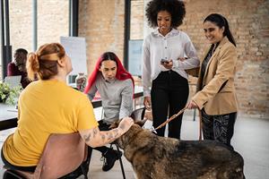 Group of people socialising (with dog)