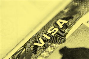 Close up of a visa